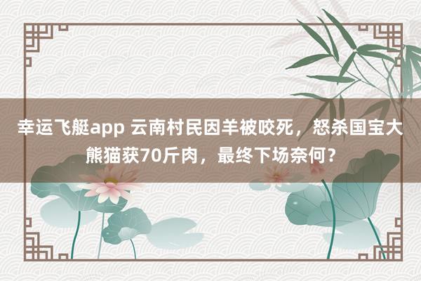 幸运飞艇app 云南村民因羊被咬死，怒杀国宝大熊猫获70斤肉，最终下场奈何？