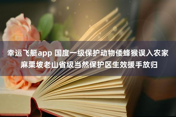幸运飞艇app 国度一级保护动物倭蜂猴误入农家 麻栗坡老山省级当然保护区生效援手放归