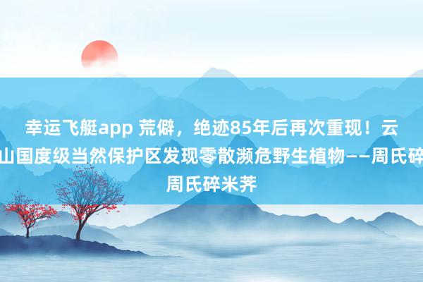 幸运飞艇app 荒僻，绝迹85年后再次重现！云南文山国度级当然保护区发现零散濒危野生植物——周氏碎米荠