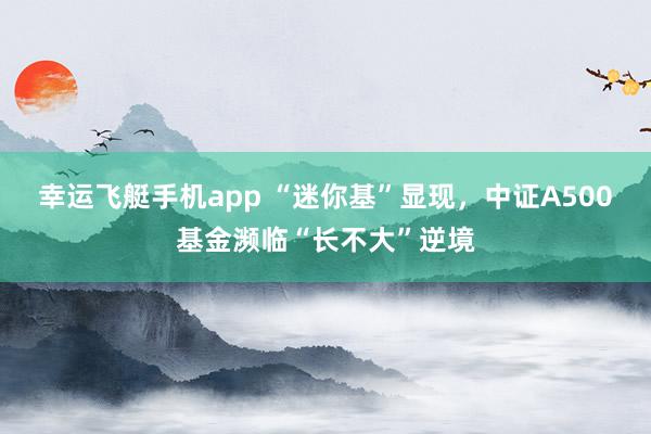 幸运飞艇手机app “迷你基”显现，中证A500基金濒临“长不大”逆境