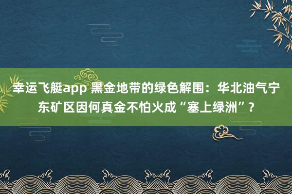 幸运飞艇app 黑金地带的绿色解围：华北油气宁东矿区因何真金不怕火成“塞上绿洲”？