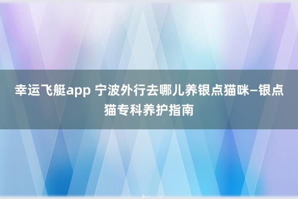 幸运飞艇app 宁波外行去哪儿养银点猫咪—银点猫专科养护指南