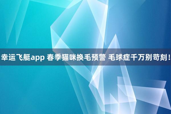 幸运飞艇app 春季猫咪换毛预警 毛球症千万别苛刻！
