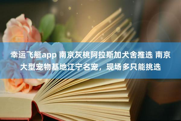 幸运飞艇app 南京灰桃阿拉斯加犬舍推选 南京大型宠物基地江宁名宠，现场多只能挑选
