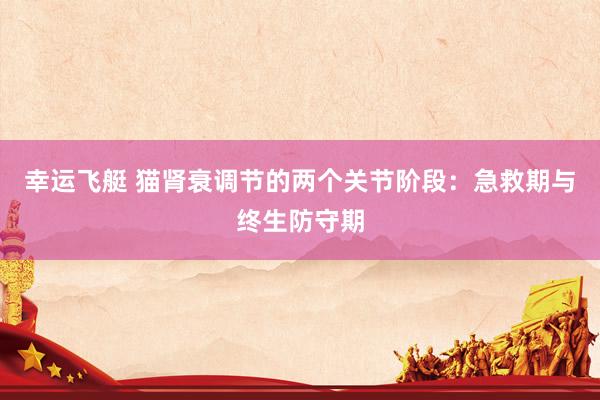 幸运飞艇 猫肾衰调节的两个关节阶段：急救期与终生防守期