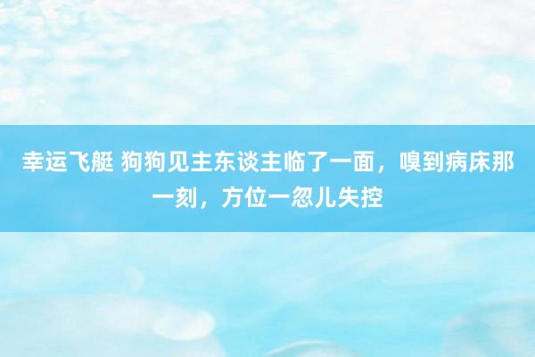 幸运飞艇 狗狗见主东谈主临了一面，嗅到病床那一刻，方位一忽儿失控