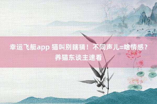 幸运飞艇app 猫叫别瞎猜！不同声儿=啥情感？养猫东谈主速看