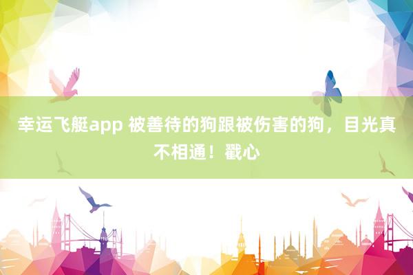 幸运飞艇app 被善待的狗跟被伤害的狗，目光真不相通！戳心