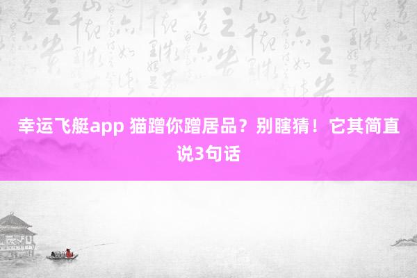 幸运飞艇app 猫蹭你蹭居品？别瞎猜！它其简直说3句话