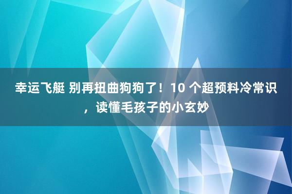 幸运飞艇 别再扭曲狗狗了！10 个超预料冷常识，读懂毛孩子的小玄妙